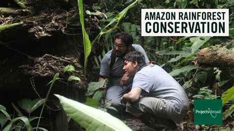 Conservation in the Amazon Rainforest .